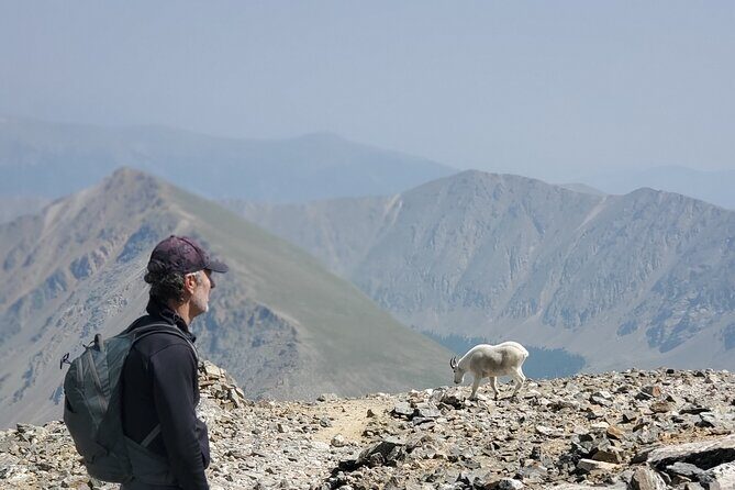 Full-Day Private Guided Scenic Colorado Mountain Hike - Who Will Love This Tour?