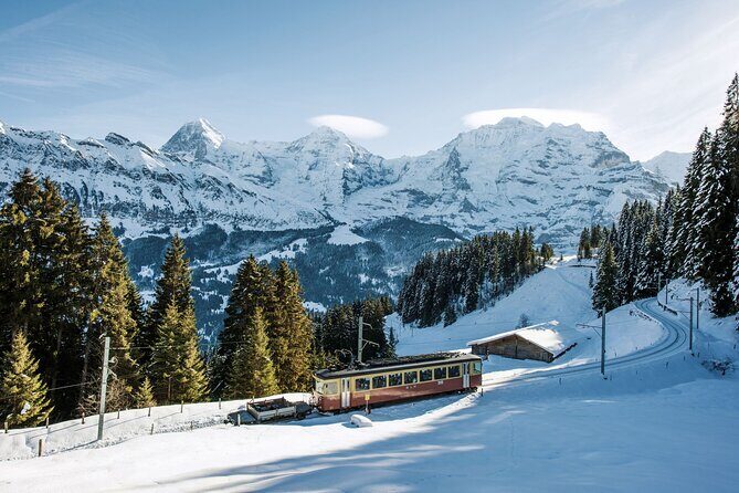 Full Day Private Guided Scenic Train Tour to the Swiss Alps - What’s Included and What to Keep in Mind