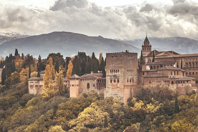 Full-Day Private Guided Tour in Alhambra from Costa del Sol - An In-Depth Look at the Experience