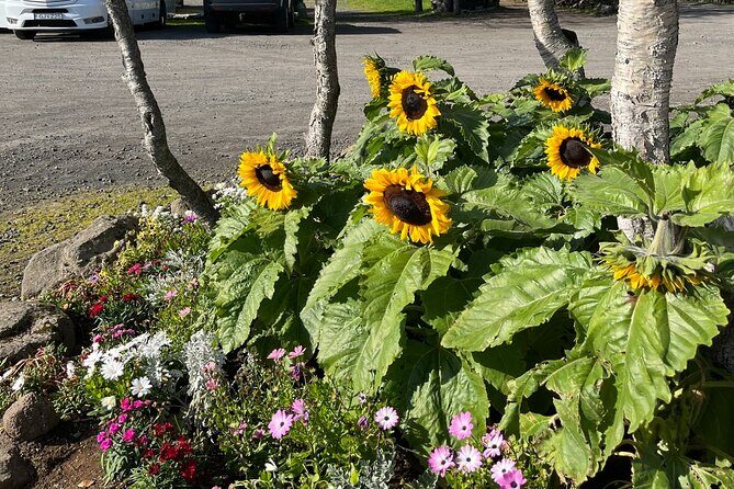 Full Day Private Guided Tour in Golden Circle of Iceland - A Deep Dive into the Golden Circle Private Tour