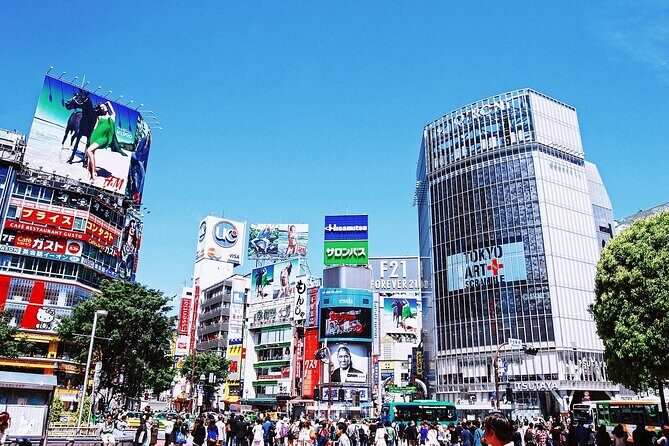 Full-Day Private Guided Tour in Tokyo - Who Should Book This Tour?