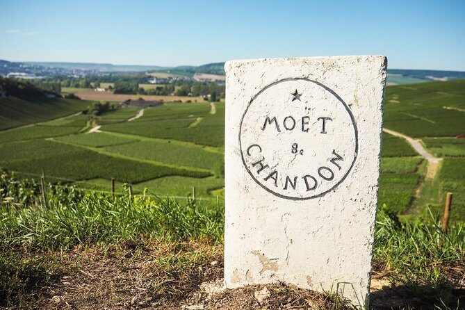 Full-Day Private Guided Tour of Champagne wih Hotel Pickup - Pricing and Value
