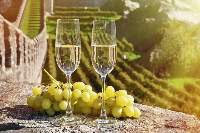 Full-Day Private Guided Tour of Champagne wih Hotel Pickup - Who Would Love This Tour?
