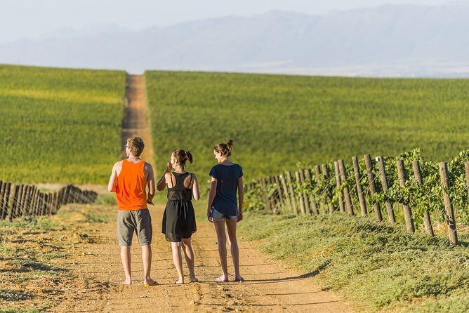 Full-Day Private Guided Tour of Champagne wih Hotel Pickup - The Sum Up