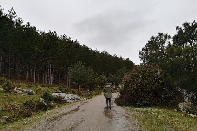 Full-Day Private Guided Tour to Guadarrama National Park - A Deep Dive into the Tour Experience