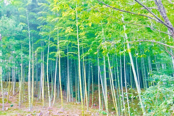 Full-Day Private Guided Tour to Kyoto, Arashiyama - FAQ