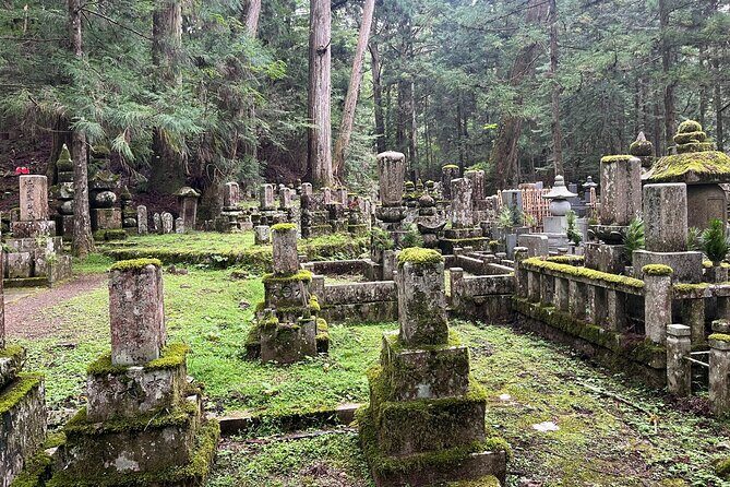 Full-Day Private Guided Tour to Mount Koya - Key Points