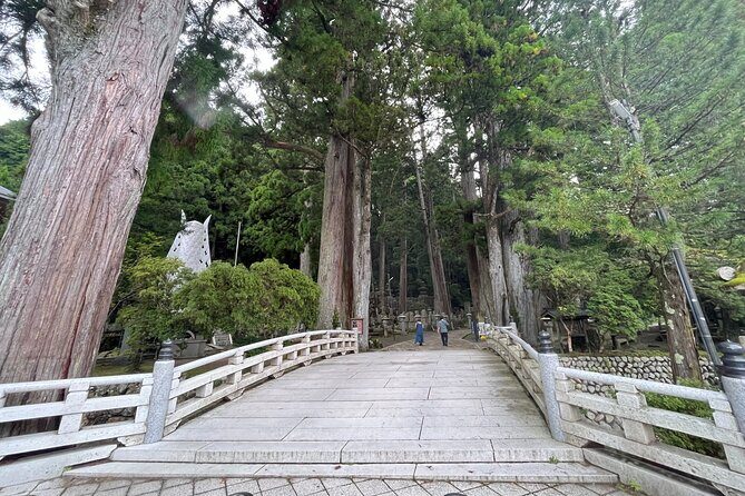 Full-Day Private Guided Tour to Mount Koya - Danjo Garan: The Heart of Shingon Buddhism