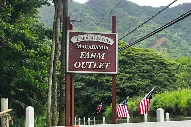 Full Day Private Hawaiian Culture Tour with Guide - What to Expect From This Tour