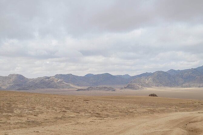 Full Day Private Jeep Tour to Elsen Tasarkhai, Semi-Gobi - Authentic Experiences & Guide Insights