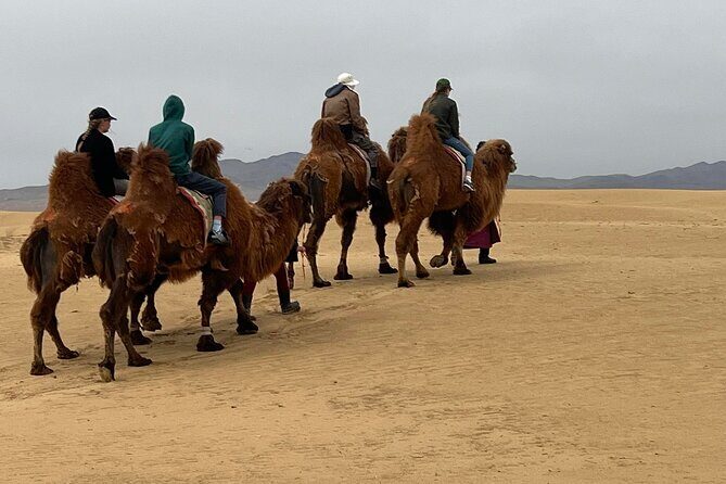 Full Day Private Jeep Tour to Elsen Tasarkhai, Semi-Gobi - Final Thoughts: Why Choose This Tour?