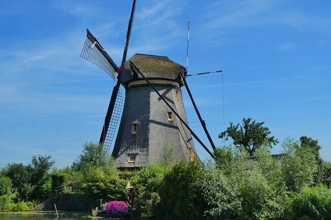 Full Day Private Kinderdijk and South Holland Tour - A Deep Dive into the Experience