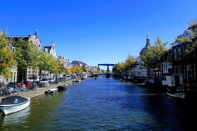 Full Day Private Kinderdijk and South Holland Tour - FAQ