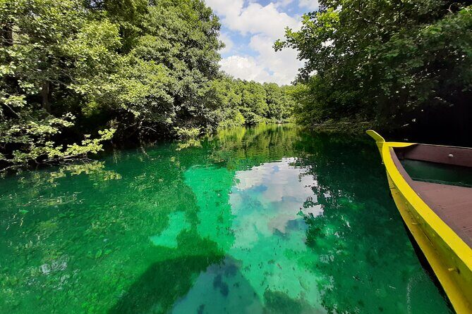 Full-Day Private Lake Ohrid and Albania Tour from Ohrid - Who Should Consider This Tour?