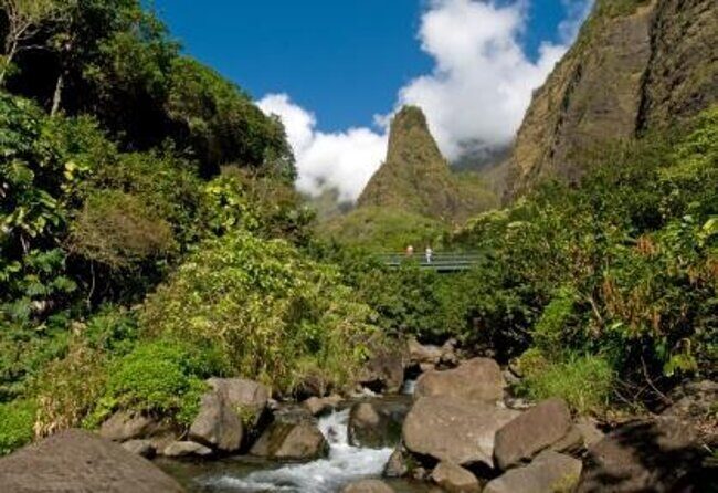 Full Day Private Maui Tour - Meta Description