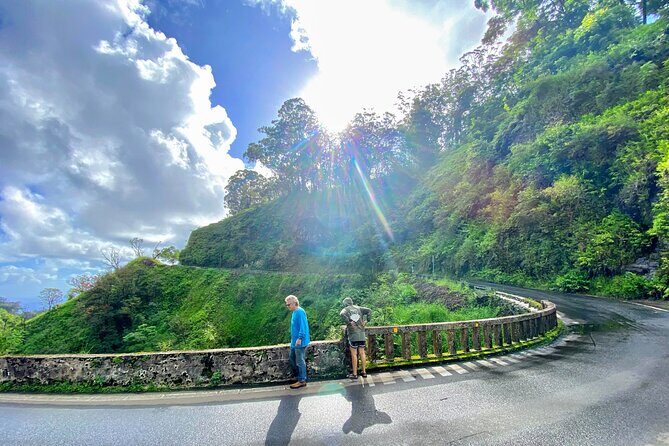 Full Day Private Maui Tour - Transportation and Comfort