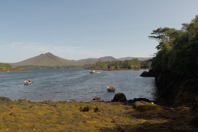 Full-day Private Mizen Head tour from Killarney - The Value of This Experience