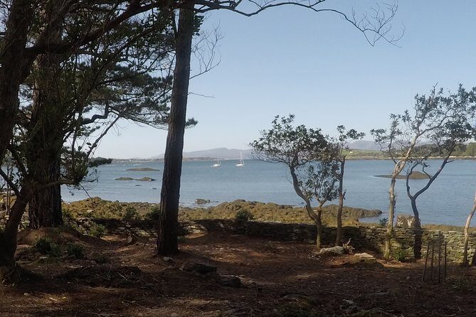 Full-day Private Mizen Head tour from Killarney - The Sum Up