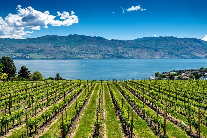 Full-Day Private Okanagan Valley Wine Tour from Kelowna - Key Points
