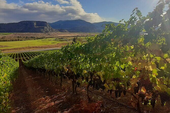 Full-Day Private Oliver & Osoyoos Wine Tour from Kelowna - Introduction: A Spirited Day in Canada’s Wine Country