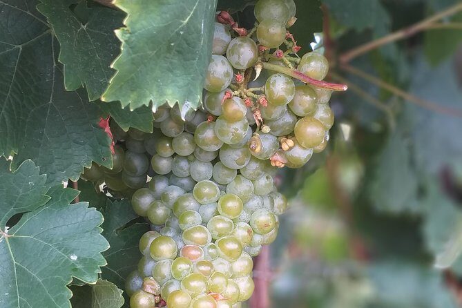 Full day Private Prosecco Tour, with certified Sommelier - FAQ