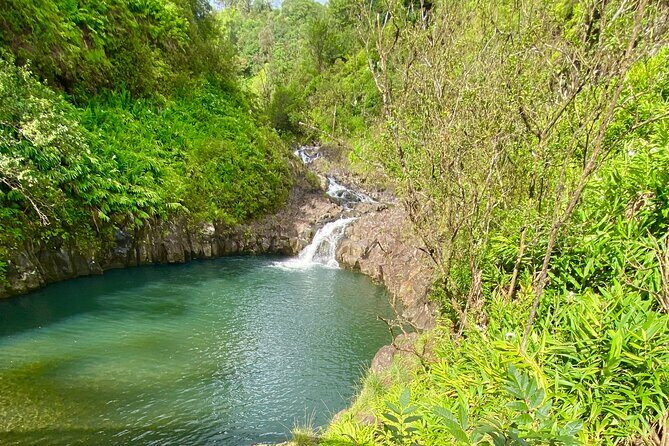 Full Day Private Road Tour to Hana - Who Should Consider This Experience?