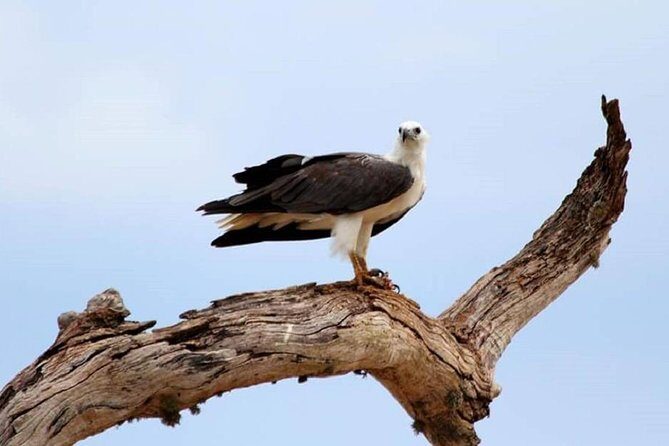 Full Day Private Safari at Yala National Park by Yala La Safari Tours - Who Is This Tour Best For?