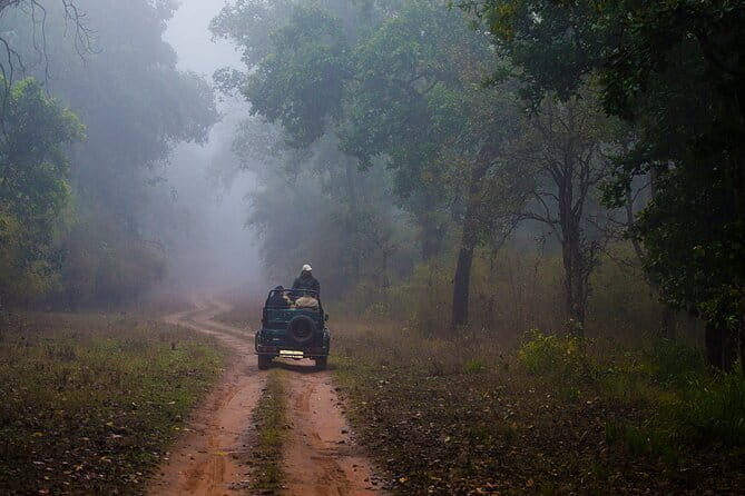 Full-Day Private Safari Tour to Ranthambore National Park - Key Points