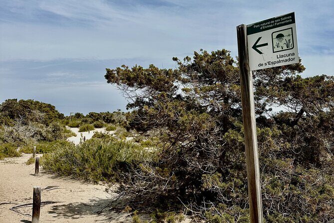 Full-Day Private Sailboat Tour of Ibiza and Formentera - The Experience: Why It’s Worth the Cost