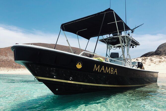 Full Day Private Scuba Diving in Espiritu Santo Island - Exploring the Itinerary