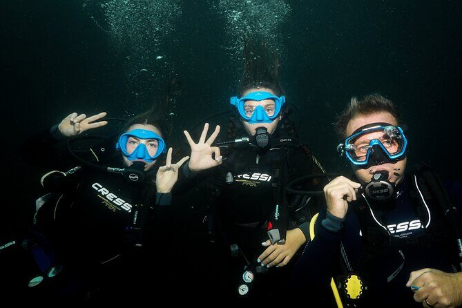 Full Day Private Scuba Diving in Espiritu Santo Island - Final Thoughts