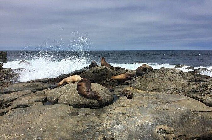 Full Day Private SD Tour from Coronado Island - The Sum Up