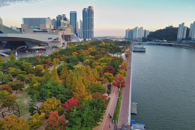 Full Day Private Shore Tour in Busan from Busan Cruise Port - The Value of This Tour