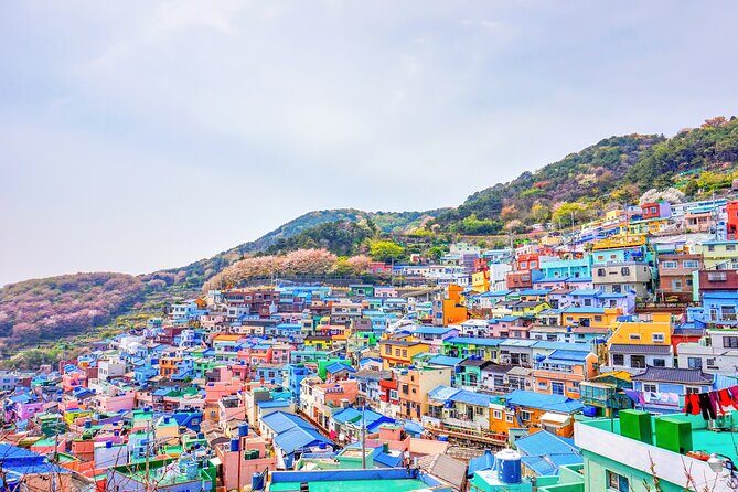 Full Day Private Shore Tour in Busan from Busan Cruise Port - FAQ