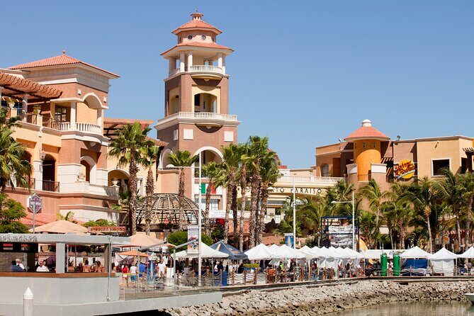 Full Day Private Shore Tour in Cabo San Lucas from Cabo San Port - Who Would Love This Tour?