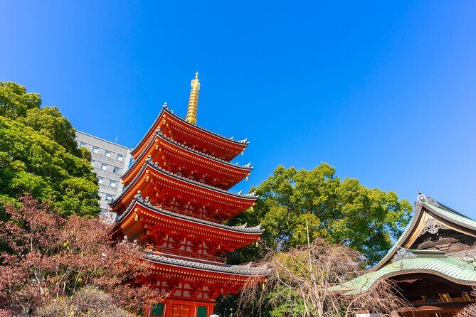 Full Day Private Shore Tour in Fukuoka from Fukuoka Cruise Port - Who should consider this tour?