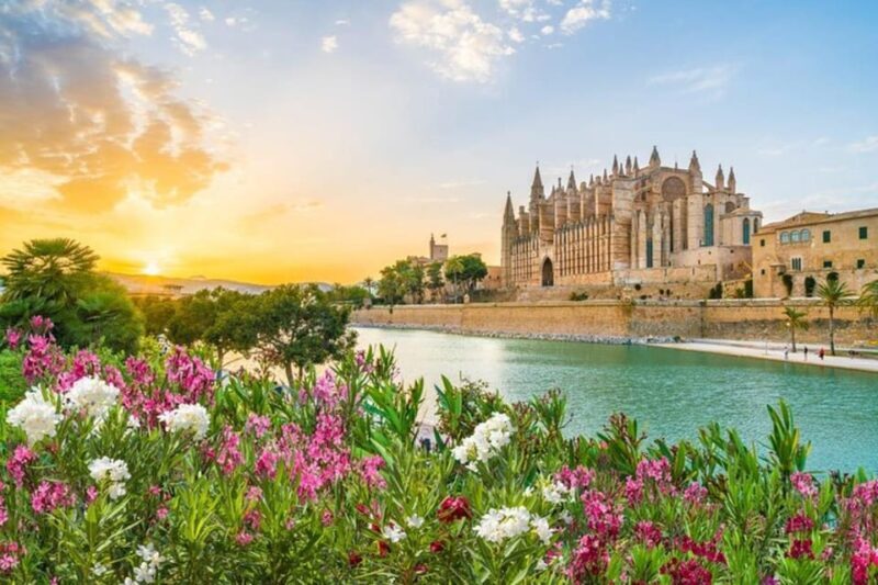Full Day Private Shore Tour in Palma de Mallorca from Port - Key Points