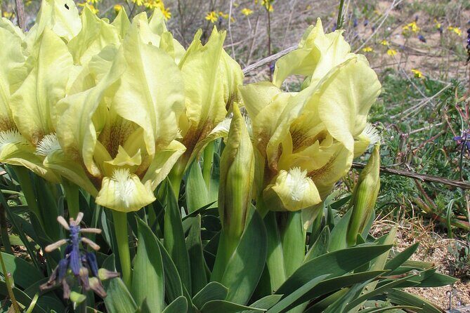 Full-Day Private Sightseeing Tour to the North of Varna - The Sum Up