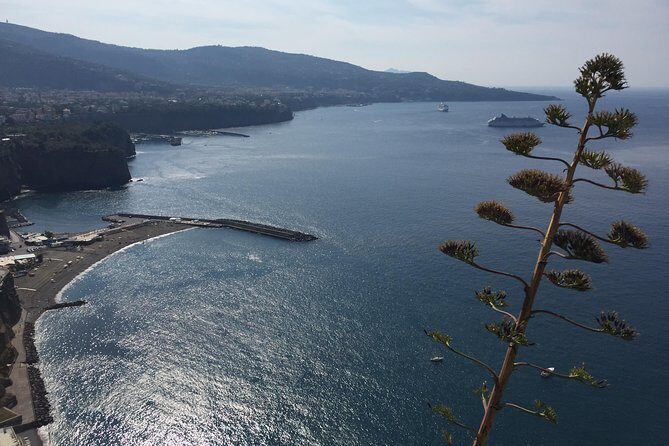 Full Day Private Sorrento & Amalfi Coast Tour from Positano - What Makes This Tour Stand Out?