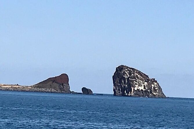 Full-Day Private Taxi Tour South of Jeju Island - In-Depth Look at the Itinerary and What You’ll Experience