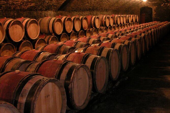 Full Day Private Tour 10 Premiers & Grands Crus, The Best of Burgundy - Final Thoughts: Who Should Book This Tour?