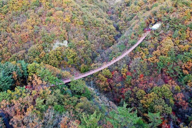 Full Day Private Tour DMZ (The 3rd Tunnel) & Suspension Bridge - The Practicalities: Pricing, Duration, and Comfort