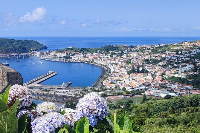 Full-Day Private Tour - Faial Island - Exploring the Full-Day Private Tour of Faial Island