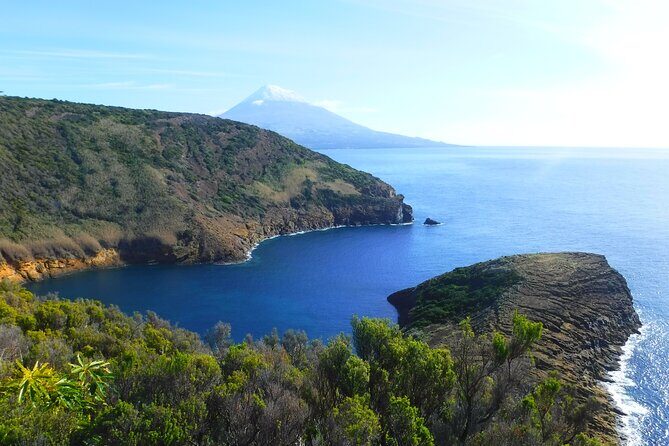 Full-Day Private Tour - Faial Island - Frequently Asked Questions