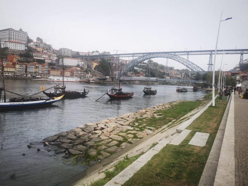 Full Day Private Tour from Lisbon to Porto - An In-Depth Look at the Tour Experience