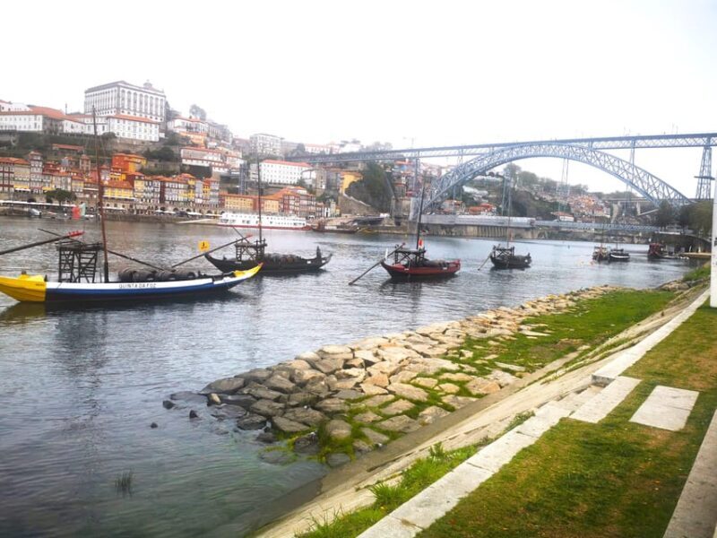 Full Day Private Tour from Lisbon to Porto - Who Would Love This Experience?