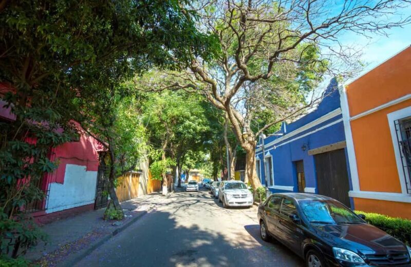 Full-day private tour from Mexico city to Coyoacán - The Experience: What You’ll Likely Love