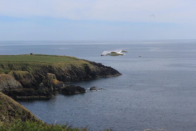 Full day Private Tour from Waterford - Exploring the Full-Day Private Tour from Waterford: An Authentic Irish Experience