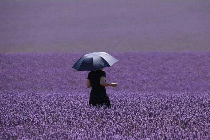 Full-day Private Tour Gorges du Verdon (LAVENDER JUNE 15/JULY 15) - Exploring the Full Itinerary in Detail