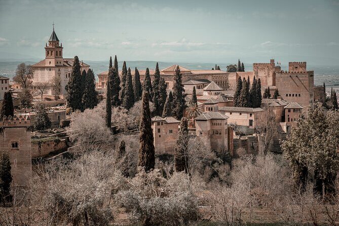Full Day Private Tour in Alhambra from Malaga - Why the Private Tour Format Matters